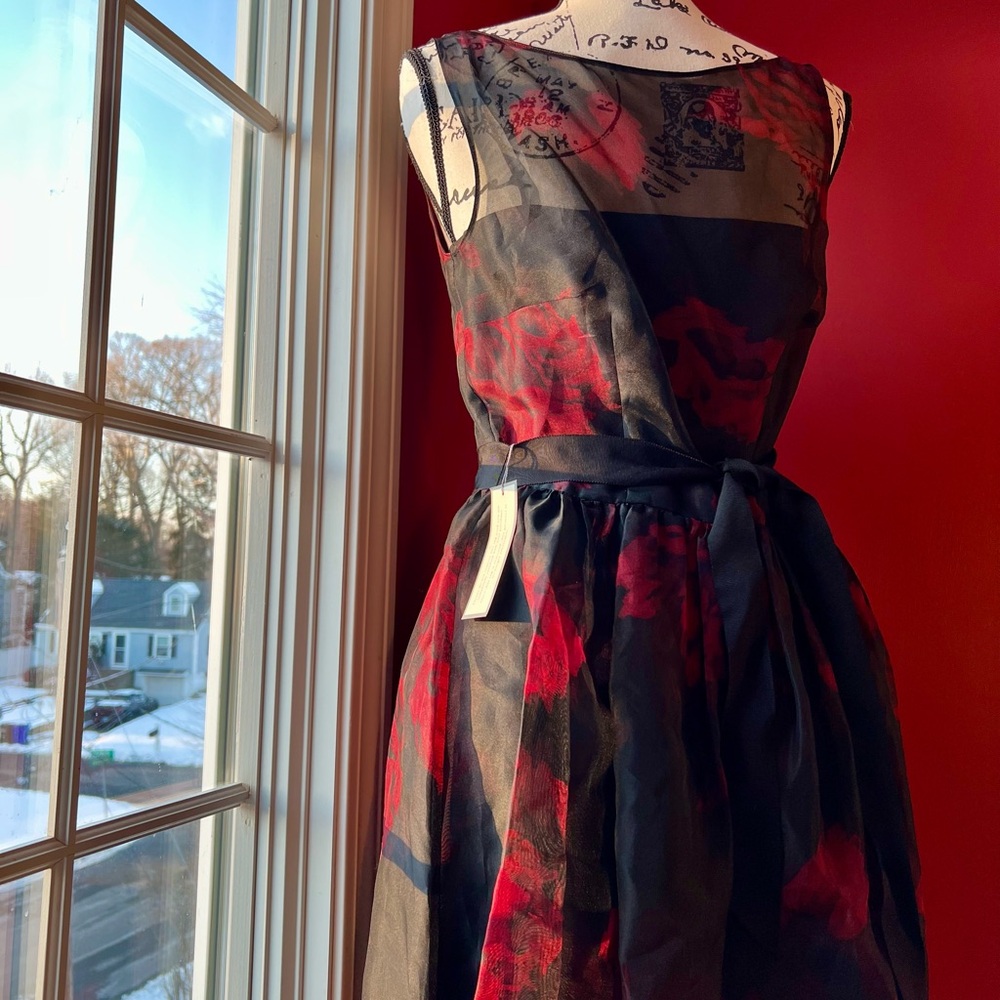 Simply gorgeous black and red rose silk Ann Taylor cocktail dress.❤️
